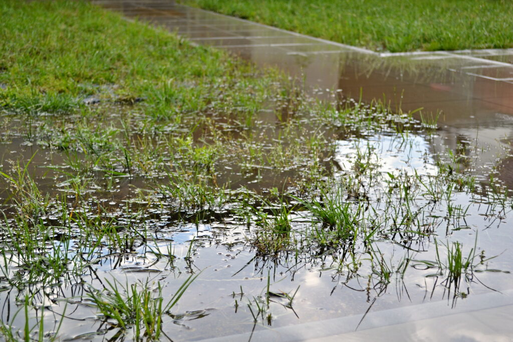 High water - a small flood in garden after rain. Pavement and lawn are under water level.