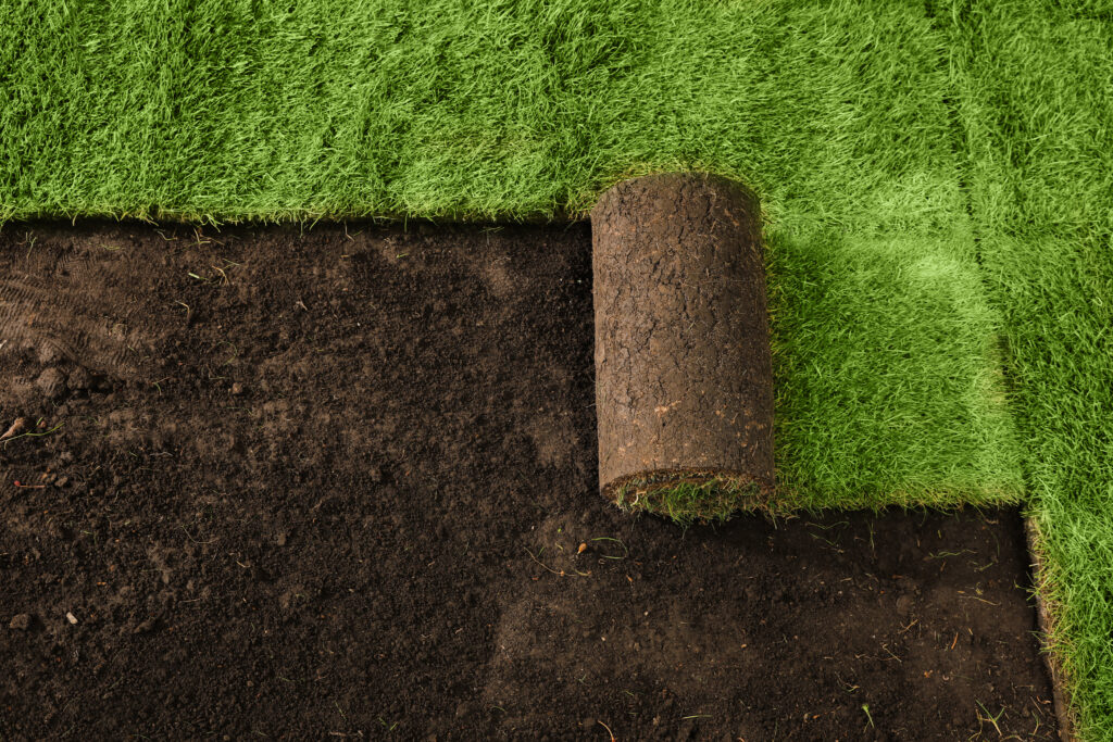 Laying grass sods at backyard, above view.