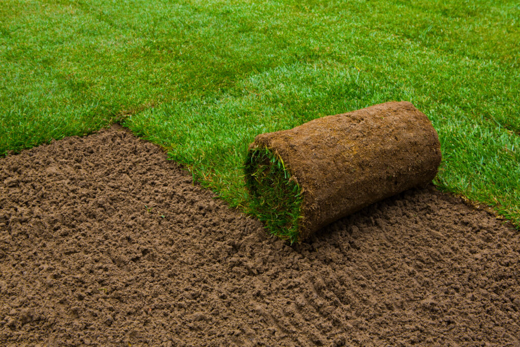 Turf roll in a yard.