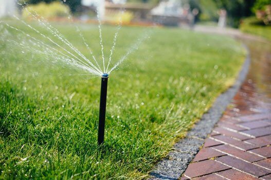 a sprinkler spraying water on a lawn