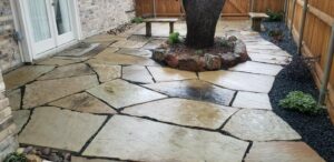 backyard with stone pavers and tree in the middle