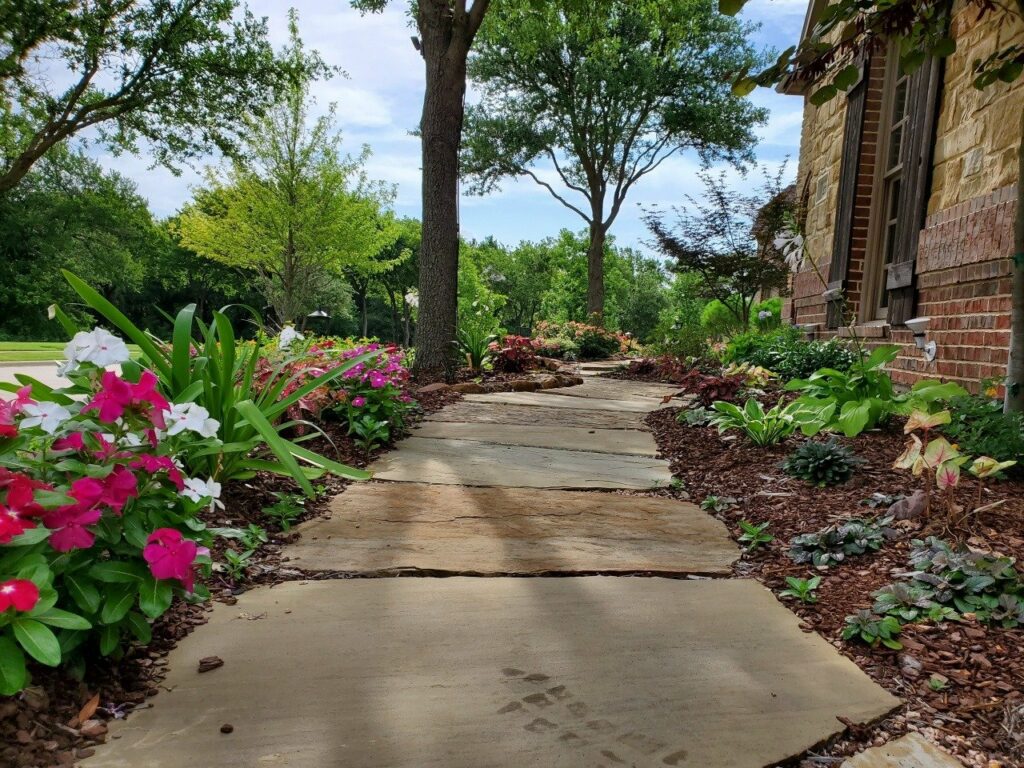stone pathway surrounded by plants