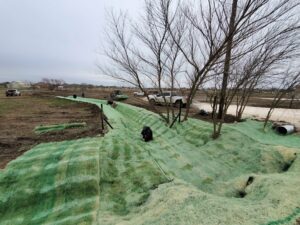 a team laying down sod